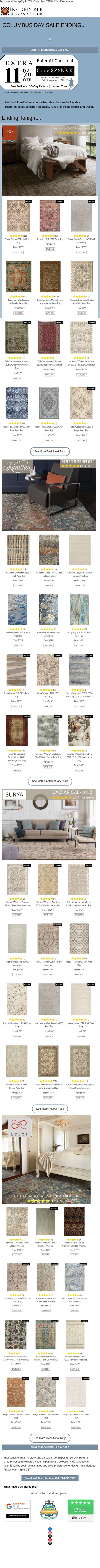 Incredible Rugs and Decor