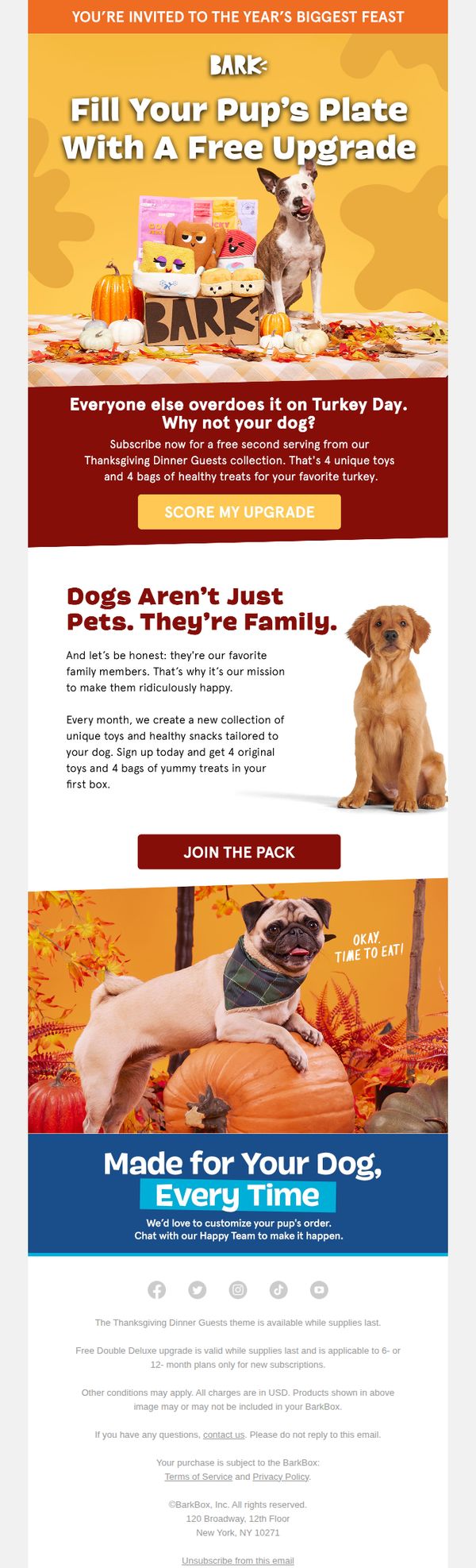 6. Bark Box: Invitation: ash <> FREE Thanksgiving Toys & Treats