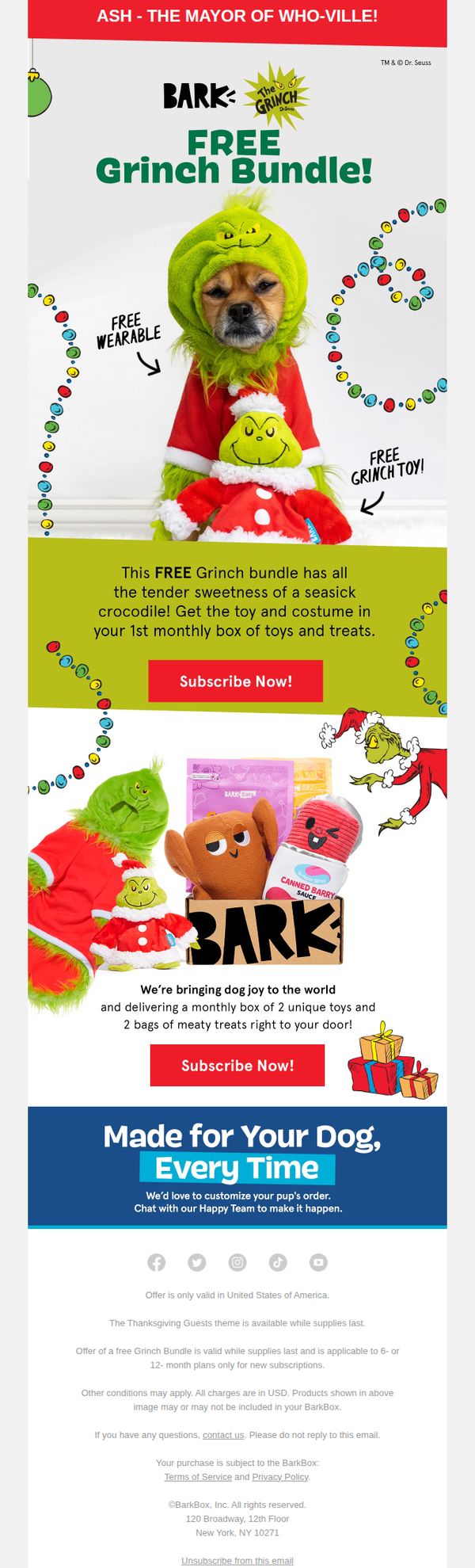 9. Don’t be a Grinch, your dog wants these gifts!