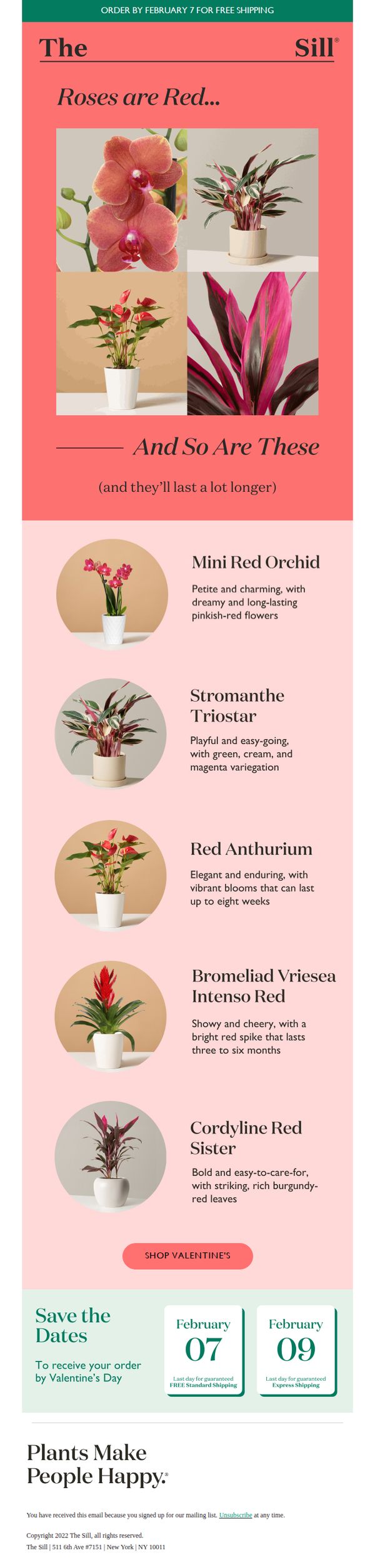 8. The Sill: Roses are Red, & These Plants Are Too!