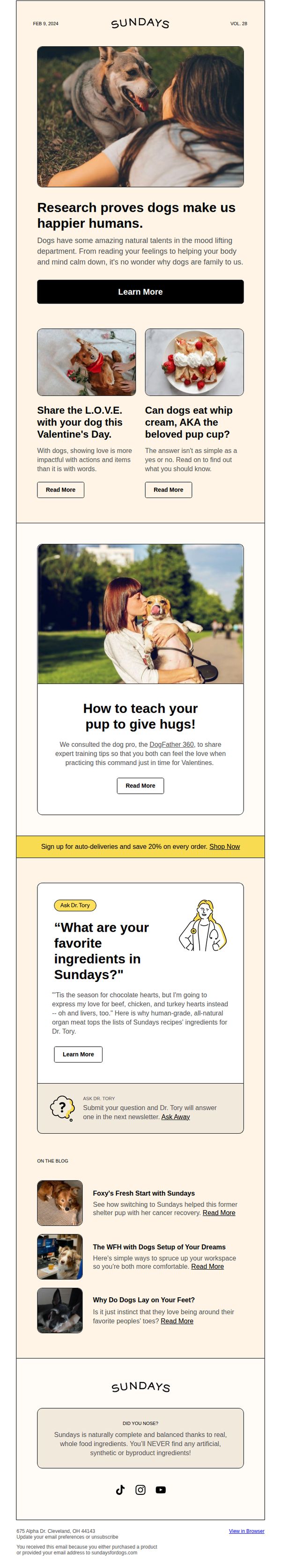 6. Sundays: Happiness comes from dogs, not people