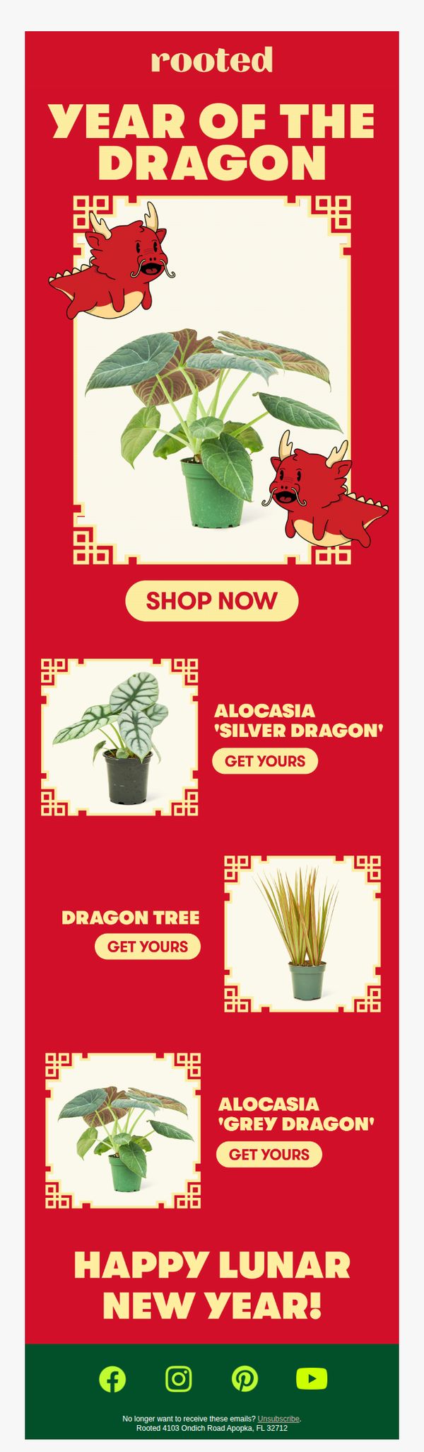 10. Rooted: Happy Lunar New Year!