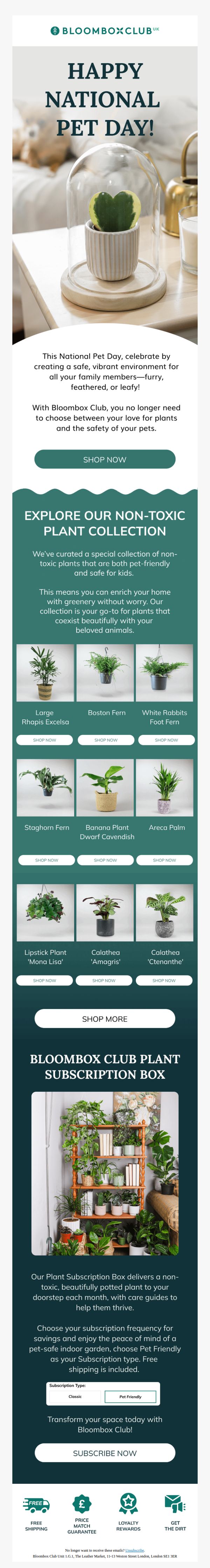 8. Bloombox Club: Celebrate National Pet Day!