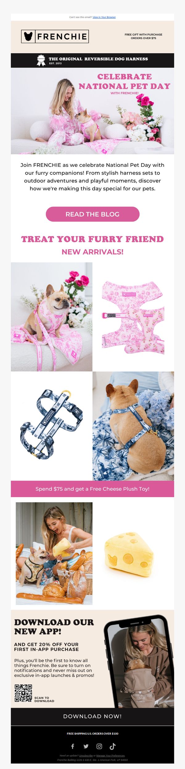 Frenchie Bulldog