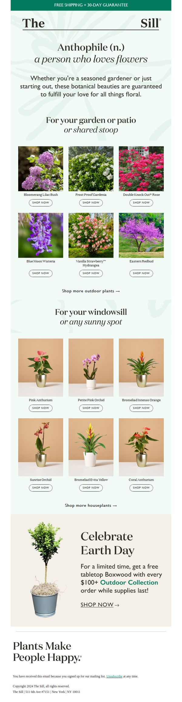 8. The Sill: 💐 Plant Picks for the Anthophile 💐