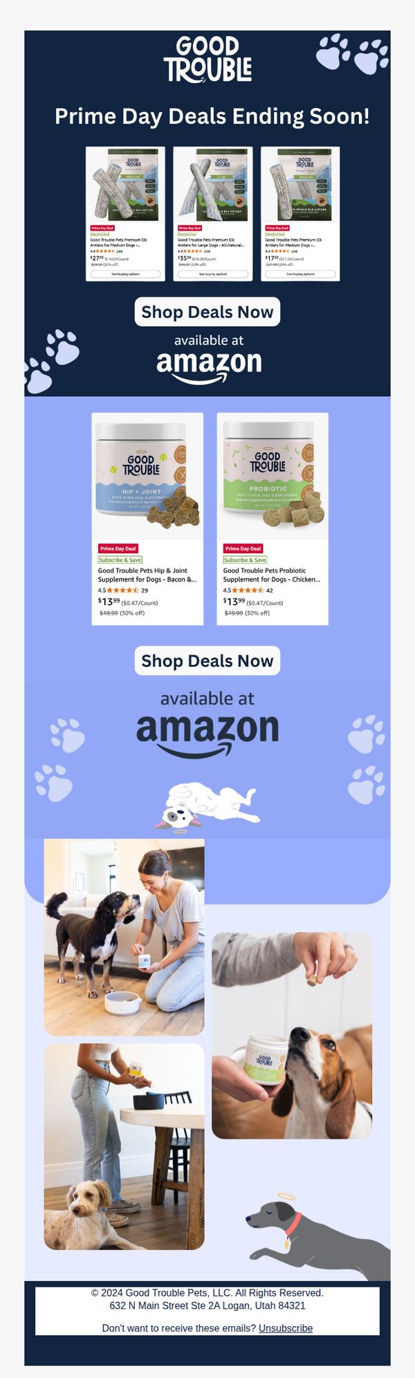 Good Trouble Pets