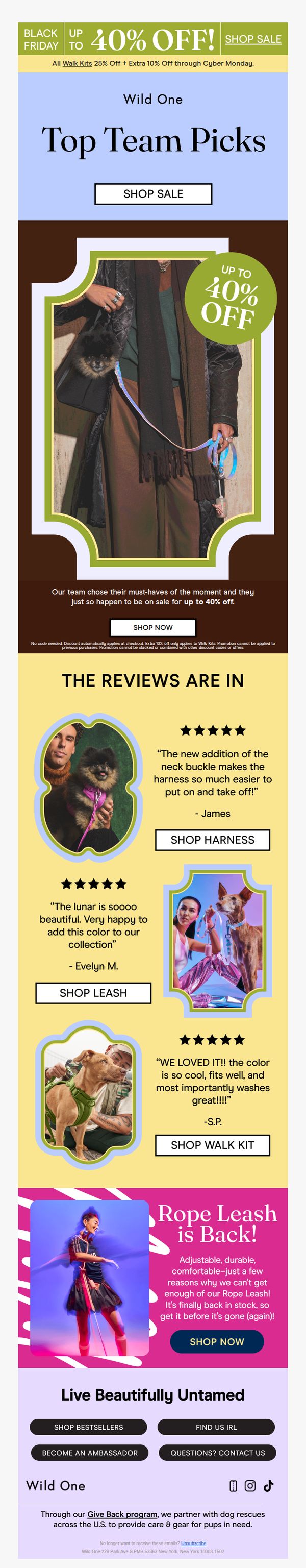 10. Our Team’s Picks For Your Pup