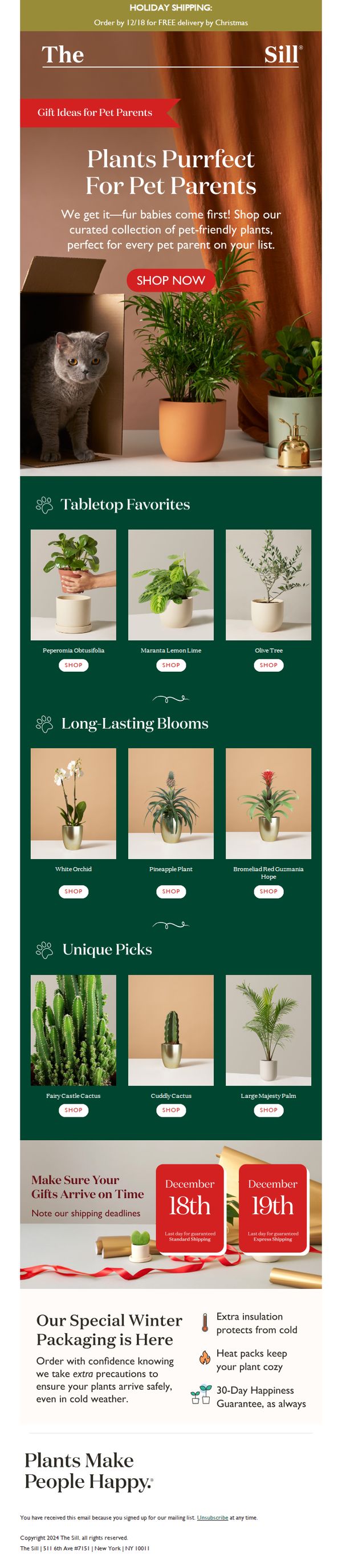 10. The Sill: 🐾 Fur-Friendly, Plant-Perfect Gifts