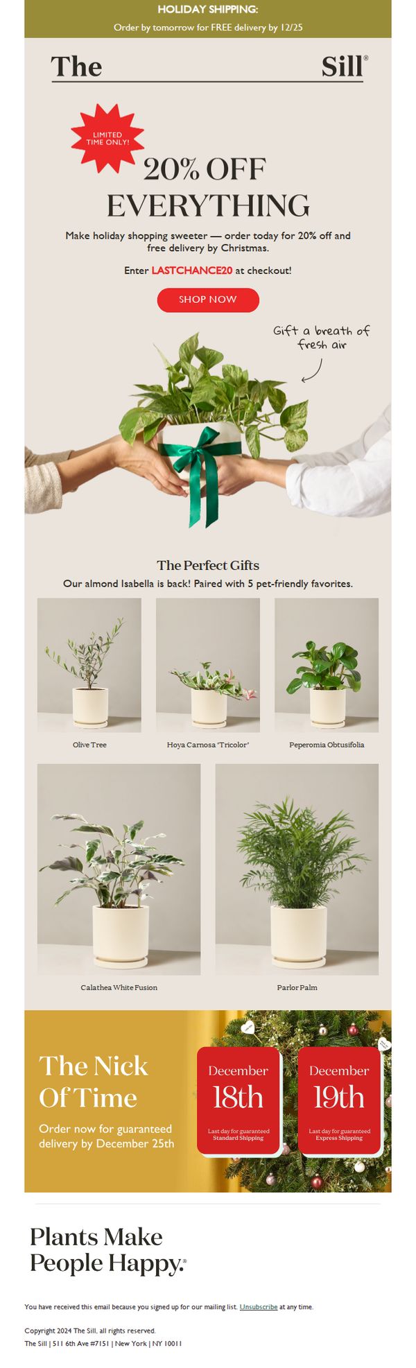6. The Sill: Our Gift To You: 20% Off + Free Ship