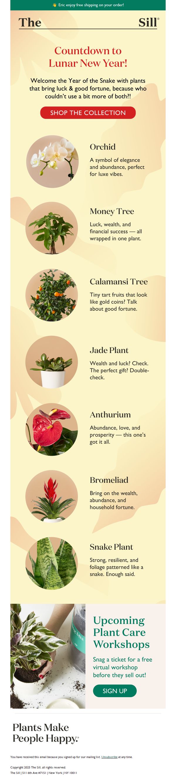 7. Bring Luck Home for Lunar New Year 🧨