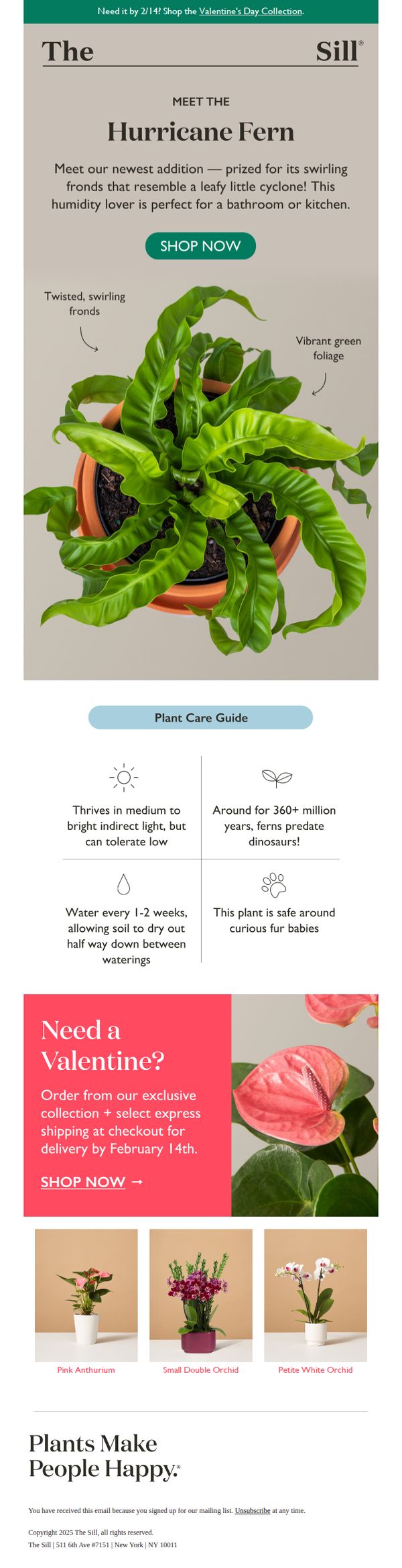 10. Meet This Leafy Little Cyclone!