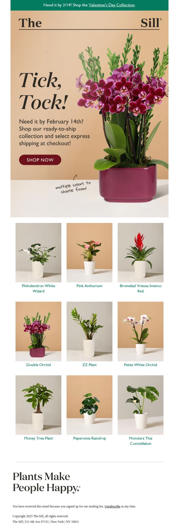 6. The Sill: Get by February 14! Shop ready to ship →
