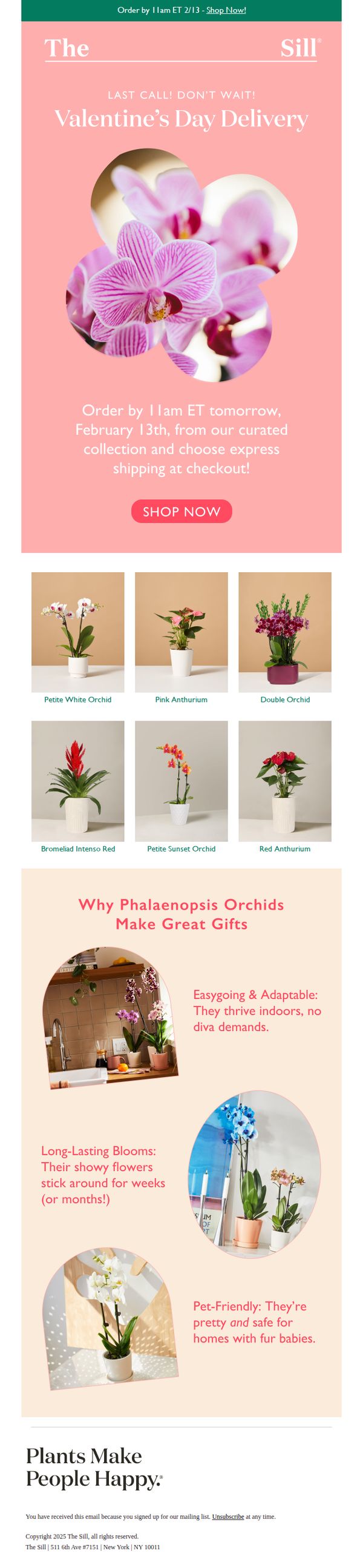 9. The Sill: Last Call for Valentine's Day Delivery!