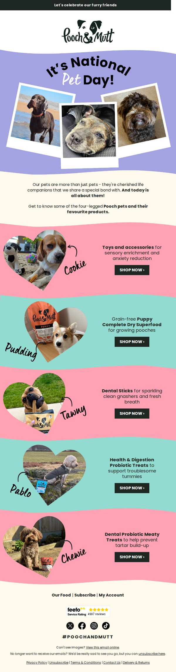 6. Pooch & Mutt: Happy National Pet Day! 🐶🐾