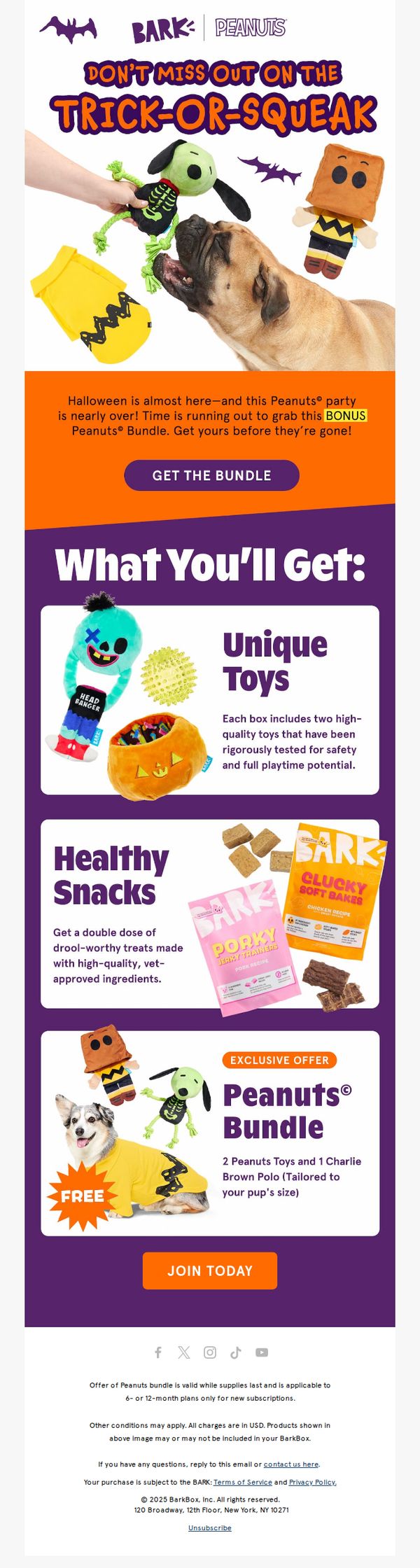 8. Bark Box: There’s still time to fetch Peanuts© Halloween
