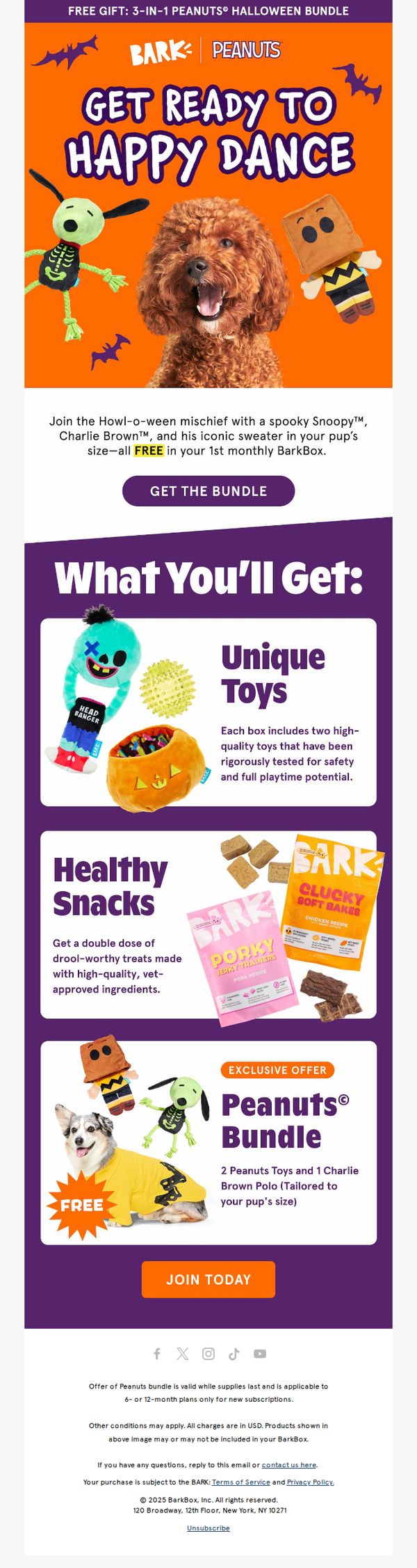 6. Bark Box: FREE GIFT: The Peanuts© Halloween Bundle 👻🎃
