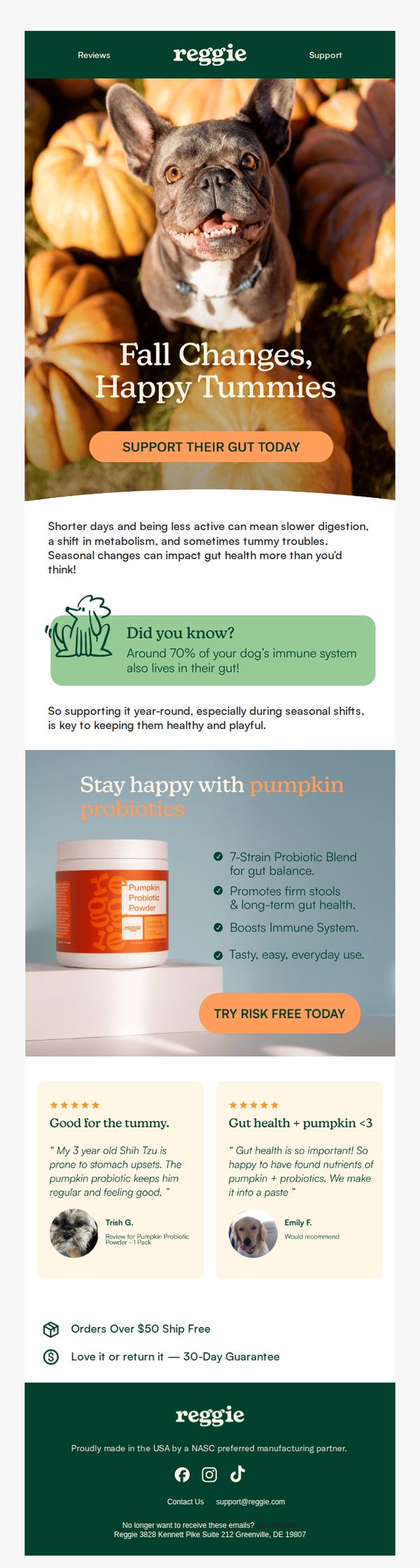 7. Reggie: 🐕 Boost Your Pup's Gut Health during Seasonal Shifts