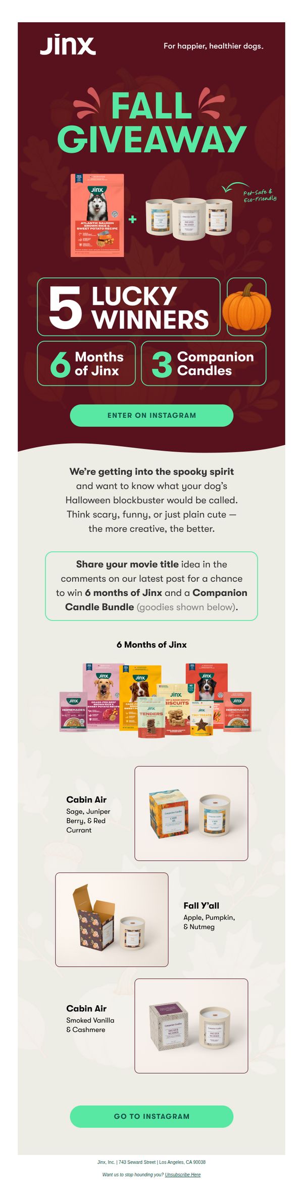 6. 🎬 Your dog’s big Halloween debut
