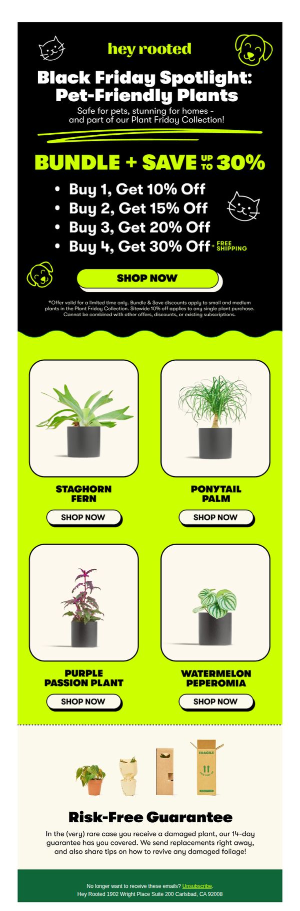 Rooted