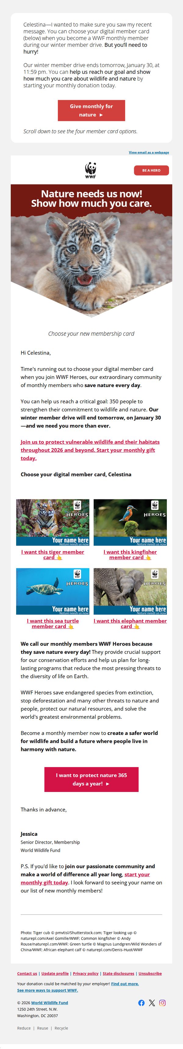 World Wildlife Fund 