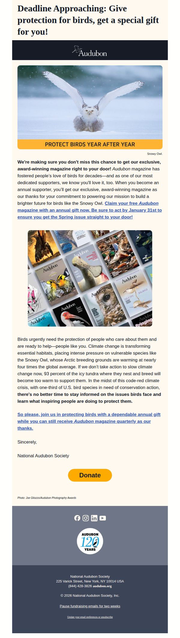 9. [Deadline Approaching] Give protection for birds, get a special gift for you!