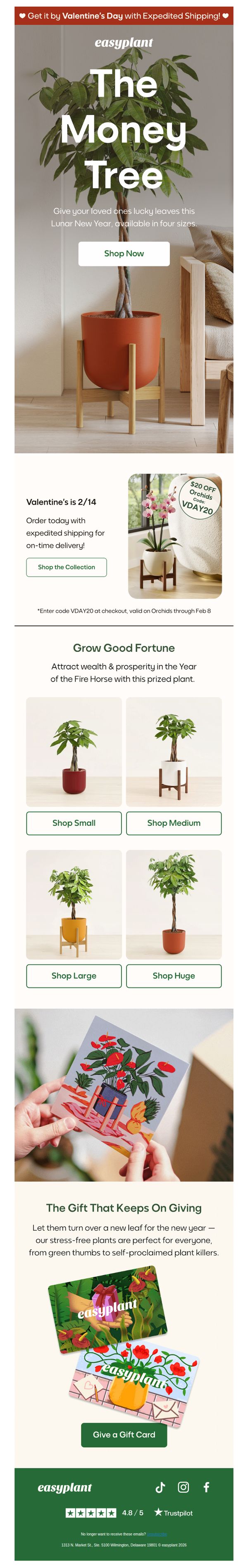 10. easyplant: Lunar New Year Favorite: The Money Tree 🌳🧧