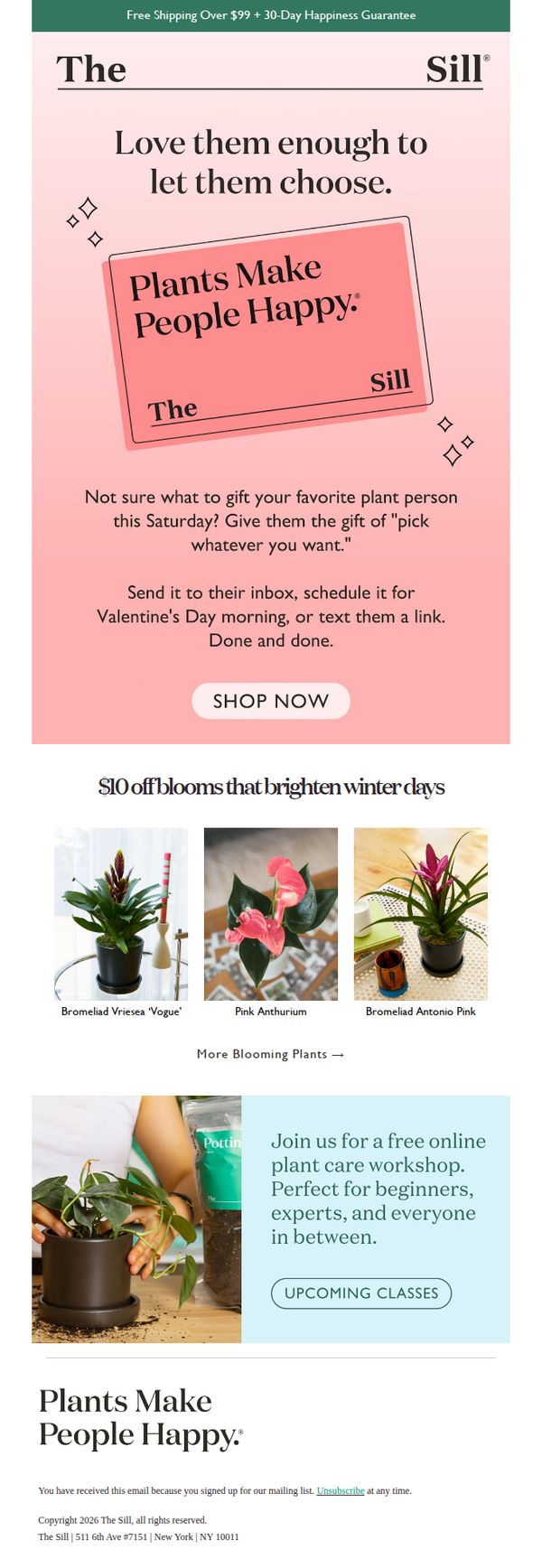 6. The Sill: For people who are picky (in a good way 😉)