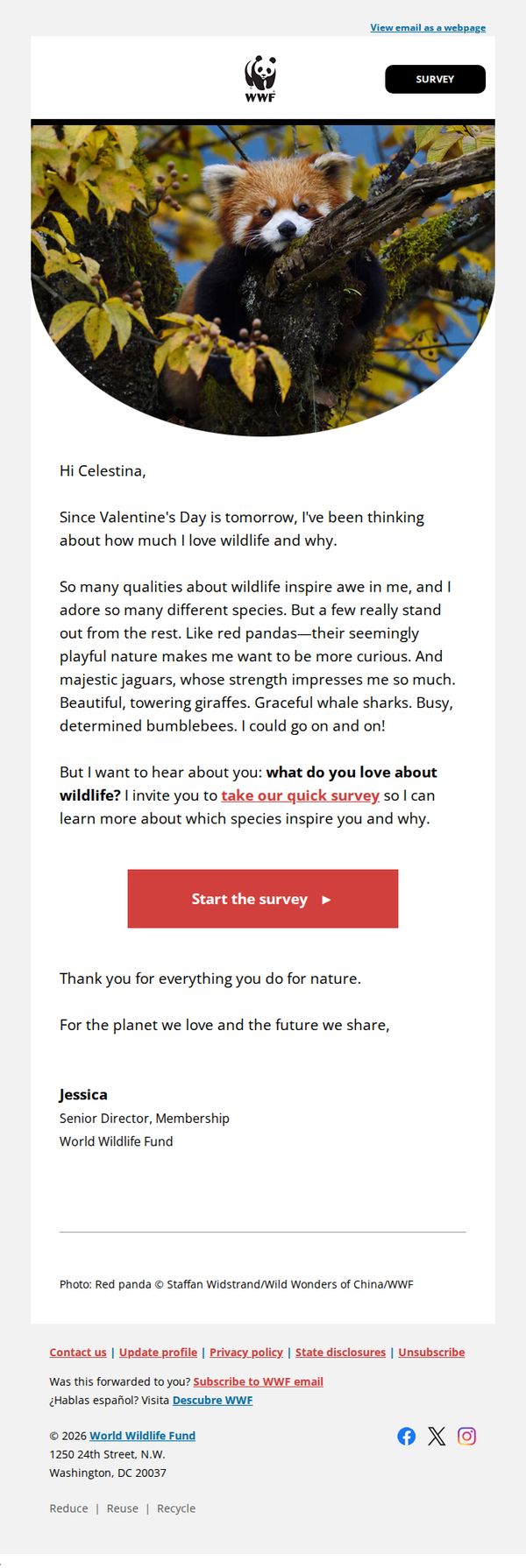 9. Which animals do you love the most?
