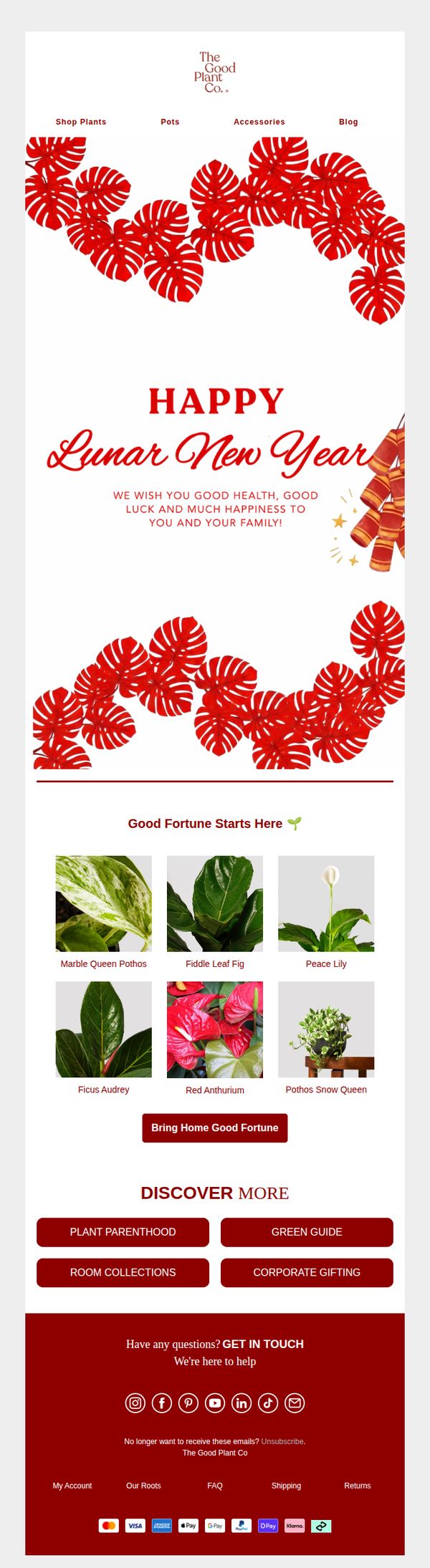 The Good Plant Co