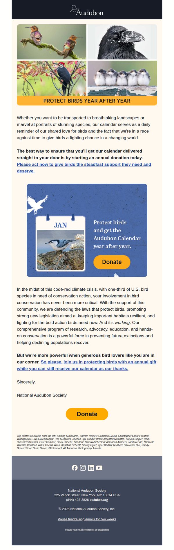 6. Give birds the steadfast support they need and get a special gift in return