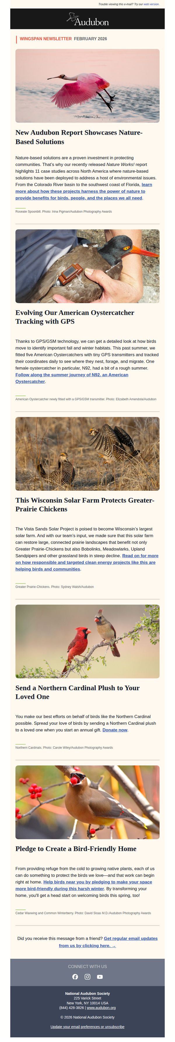 10. Audubon: We’re Loving These Wins for Birds 💚