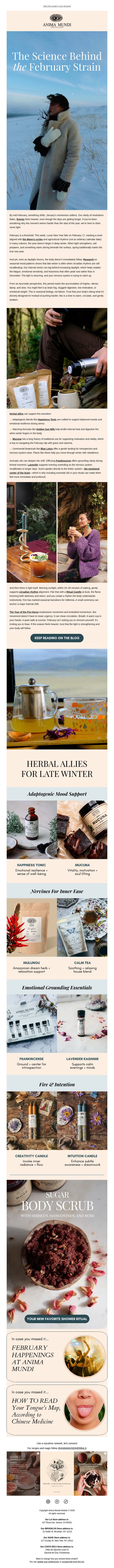 Anima Mundi Apothecary