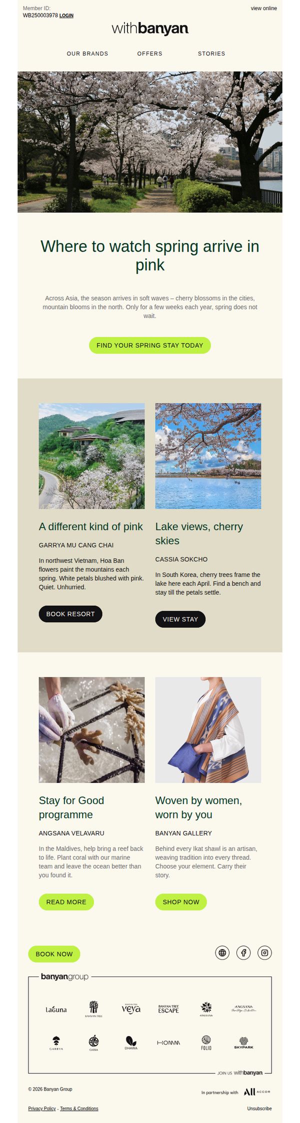 7. Banyan Tree : Best places to stay and view cherry blossoms