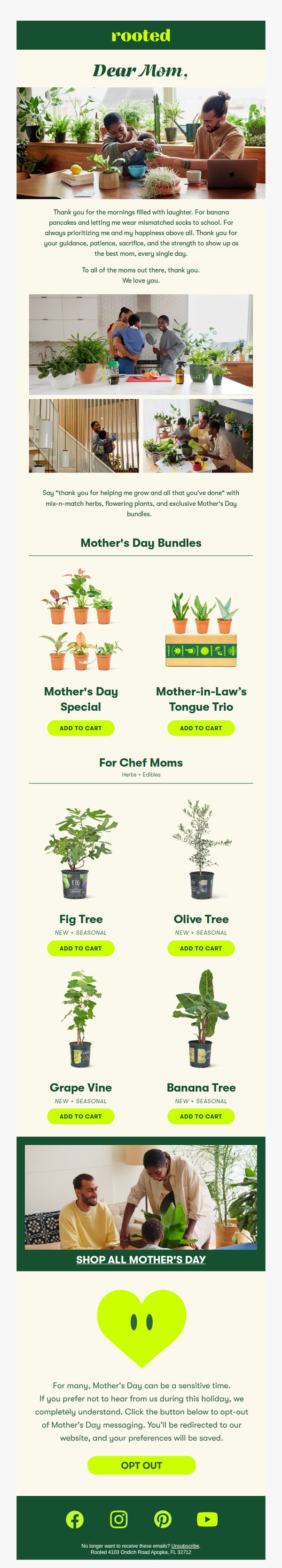 6. Rooted: Treat Mom to Something Special ✨