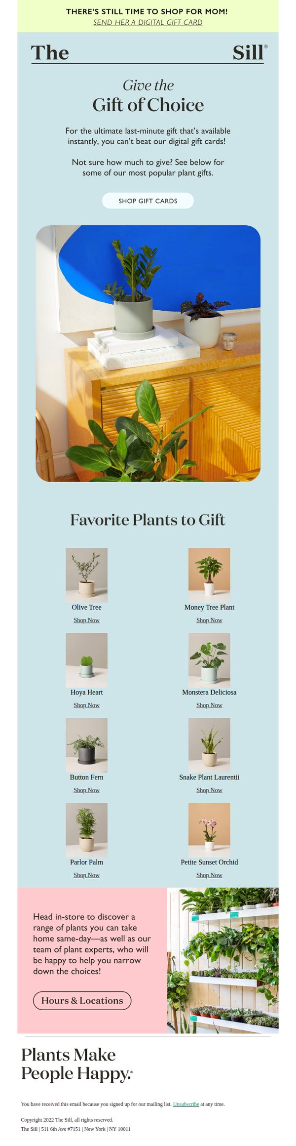 9. The Sill: Still Need a Mother's Day Gift?