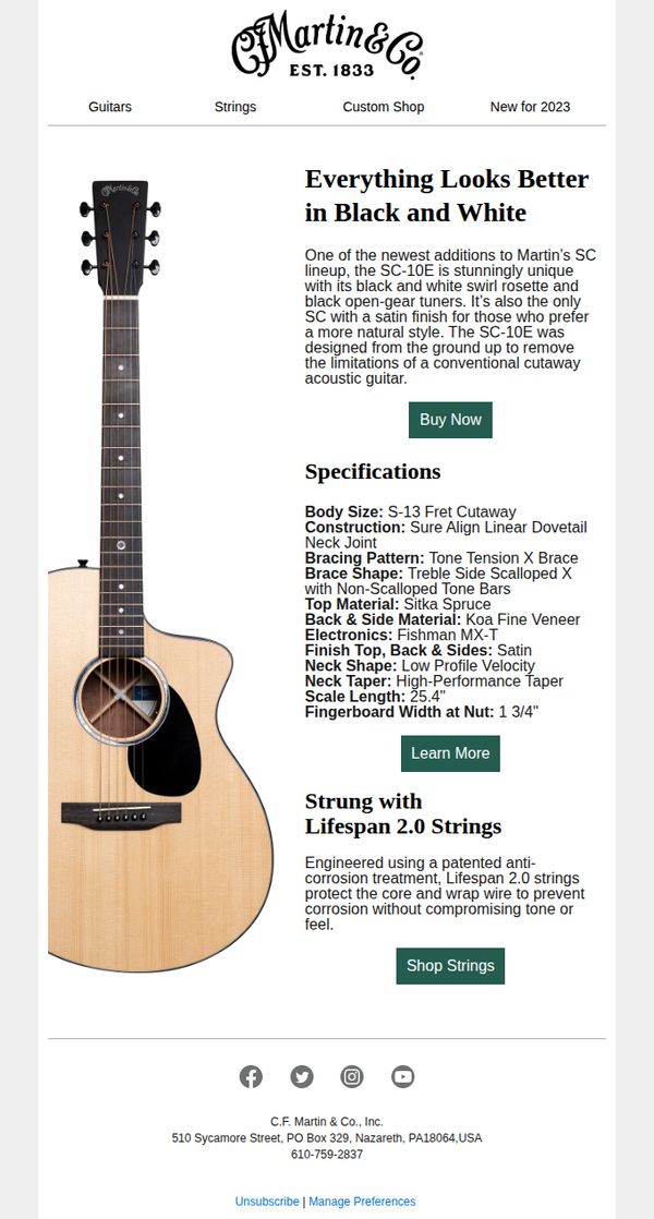 Martin Guitar