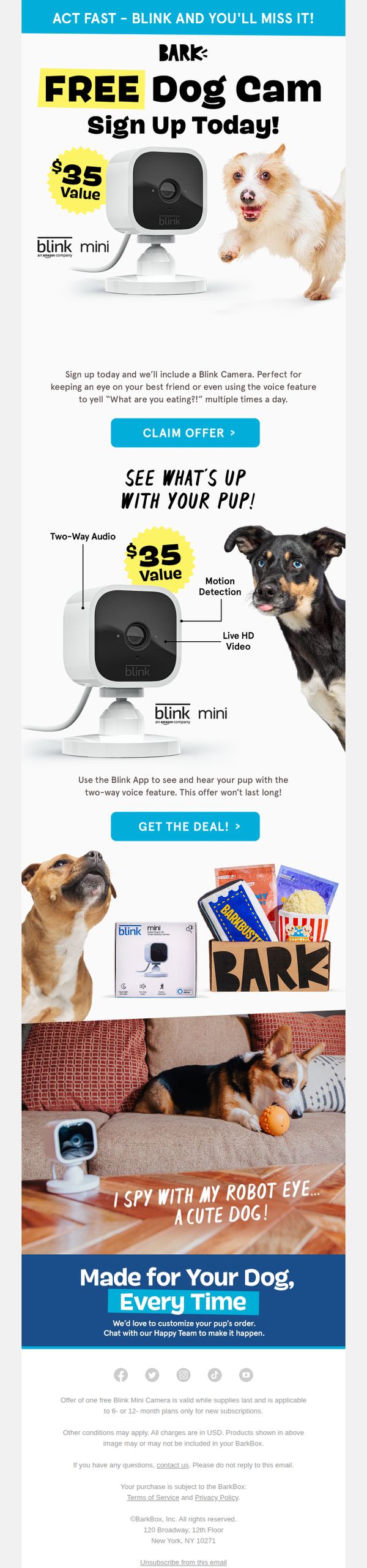 10. Bark Box: 🐶📷👀 “Alexa, Check on  your pup.”