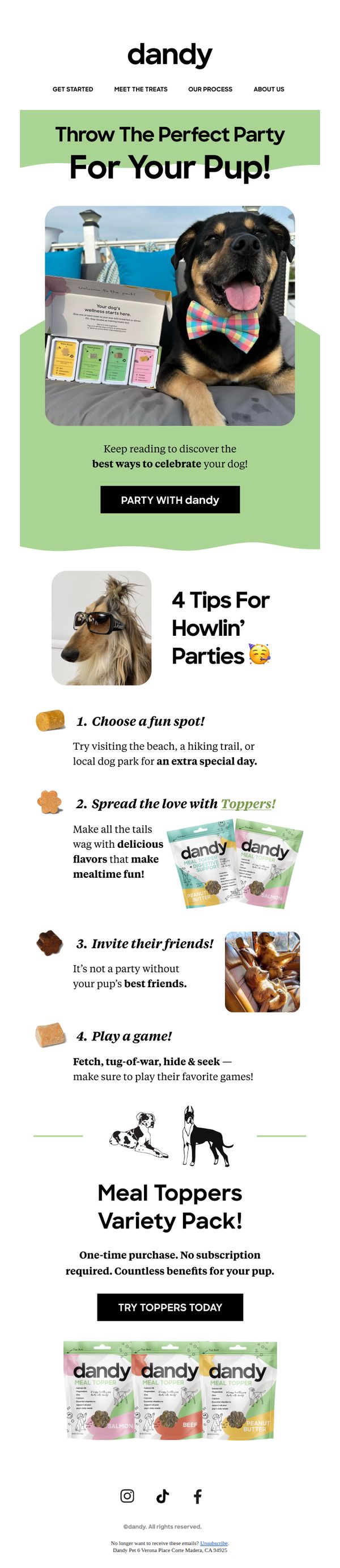7. 🕺 It’s National Dog Party Day!