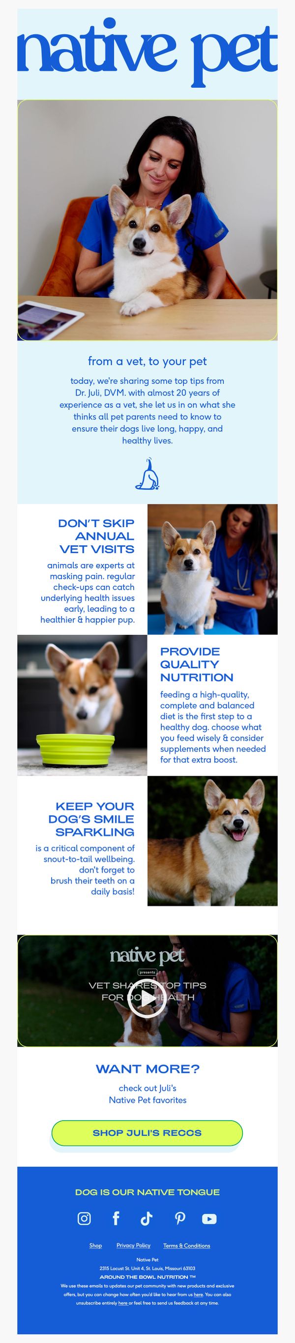 7. Native Pet: 3 vet-approved tips for your pup