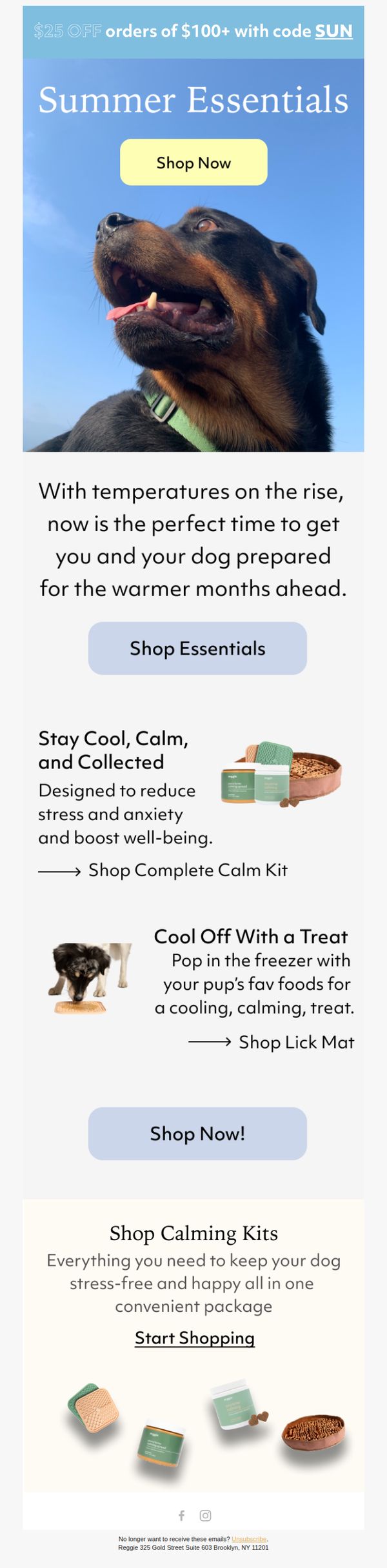 8. Summer Must-Haves! ☀️