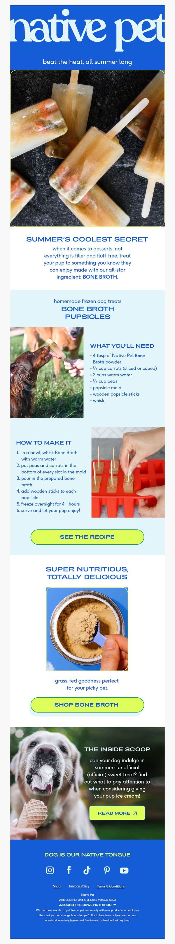 6. Native Pet: how to beat the dog day heat