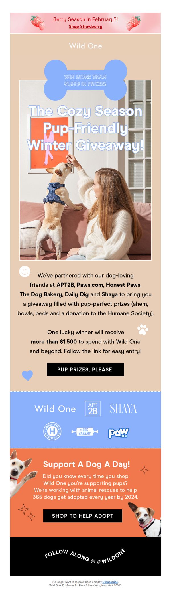 10. A Very Cozy Winter Giveaway ❄️