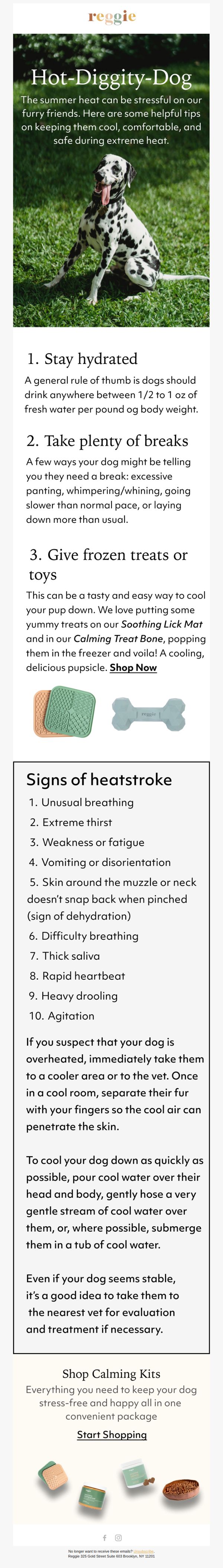 9. Reggie: It's Hot Out There 🥵