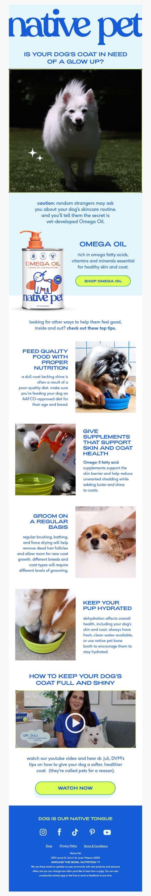 6. does your dog’s skincare routine need a revamp?
