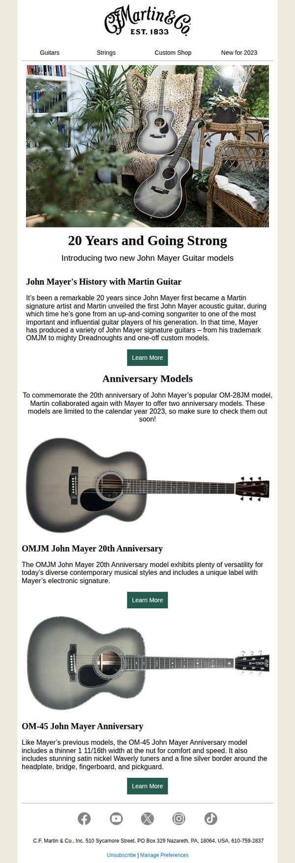 Martin Guitar