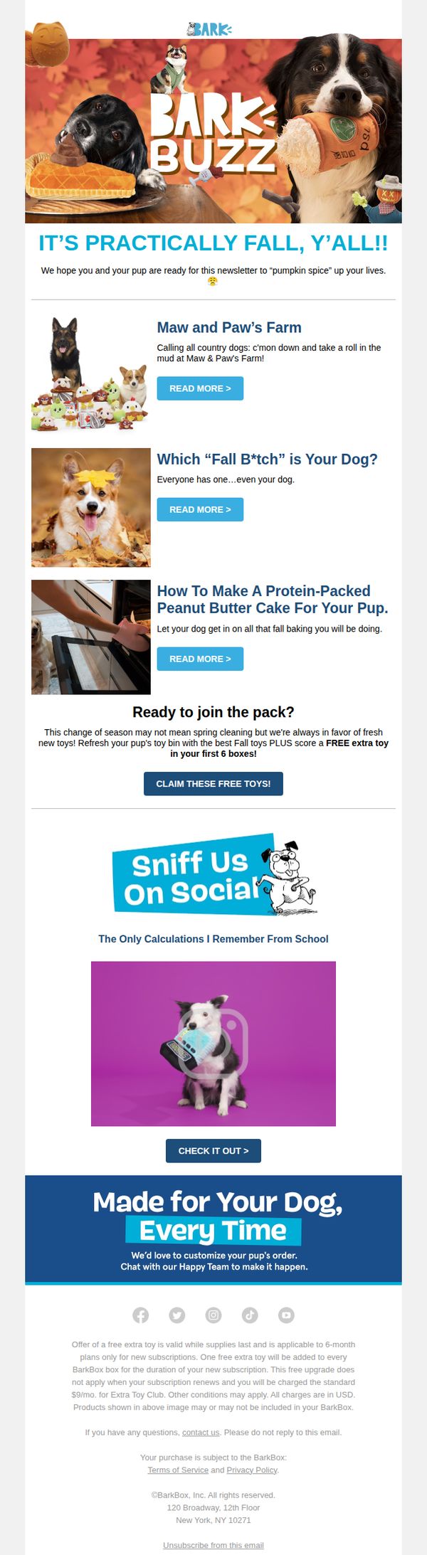 Bark Box