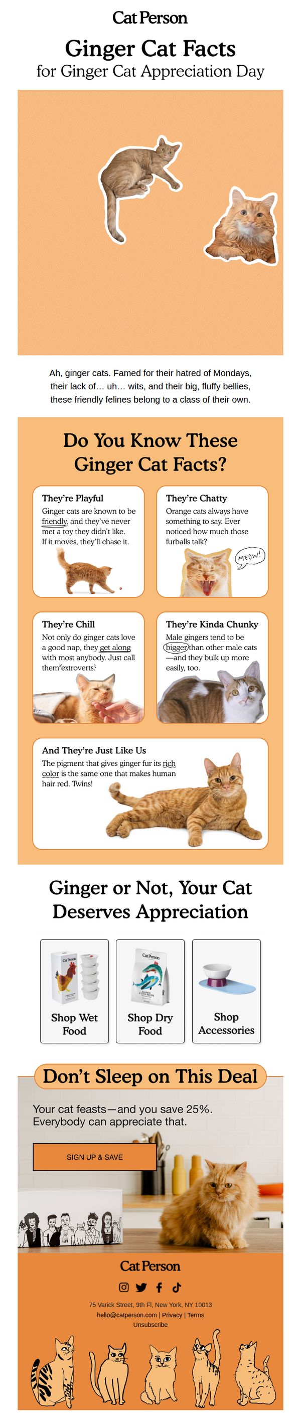 Cat Person