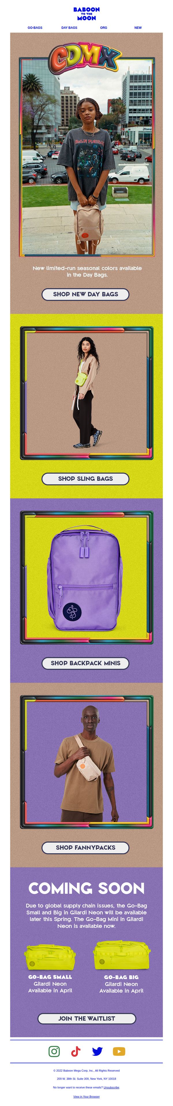 Baboon To The Moon