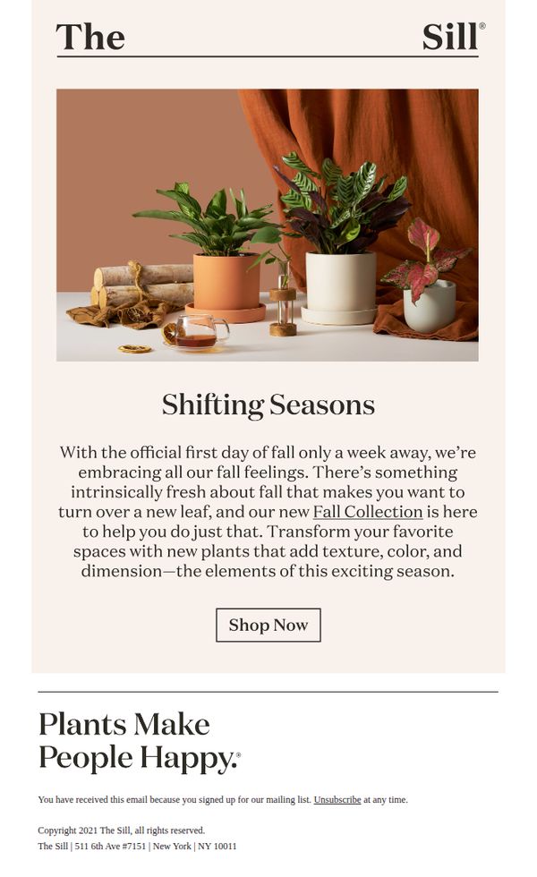 8. Meet our NEW plant arrivals