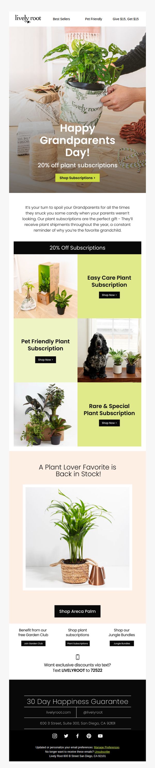 Lively Root